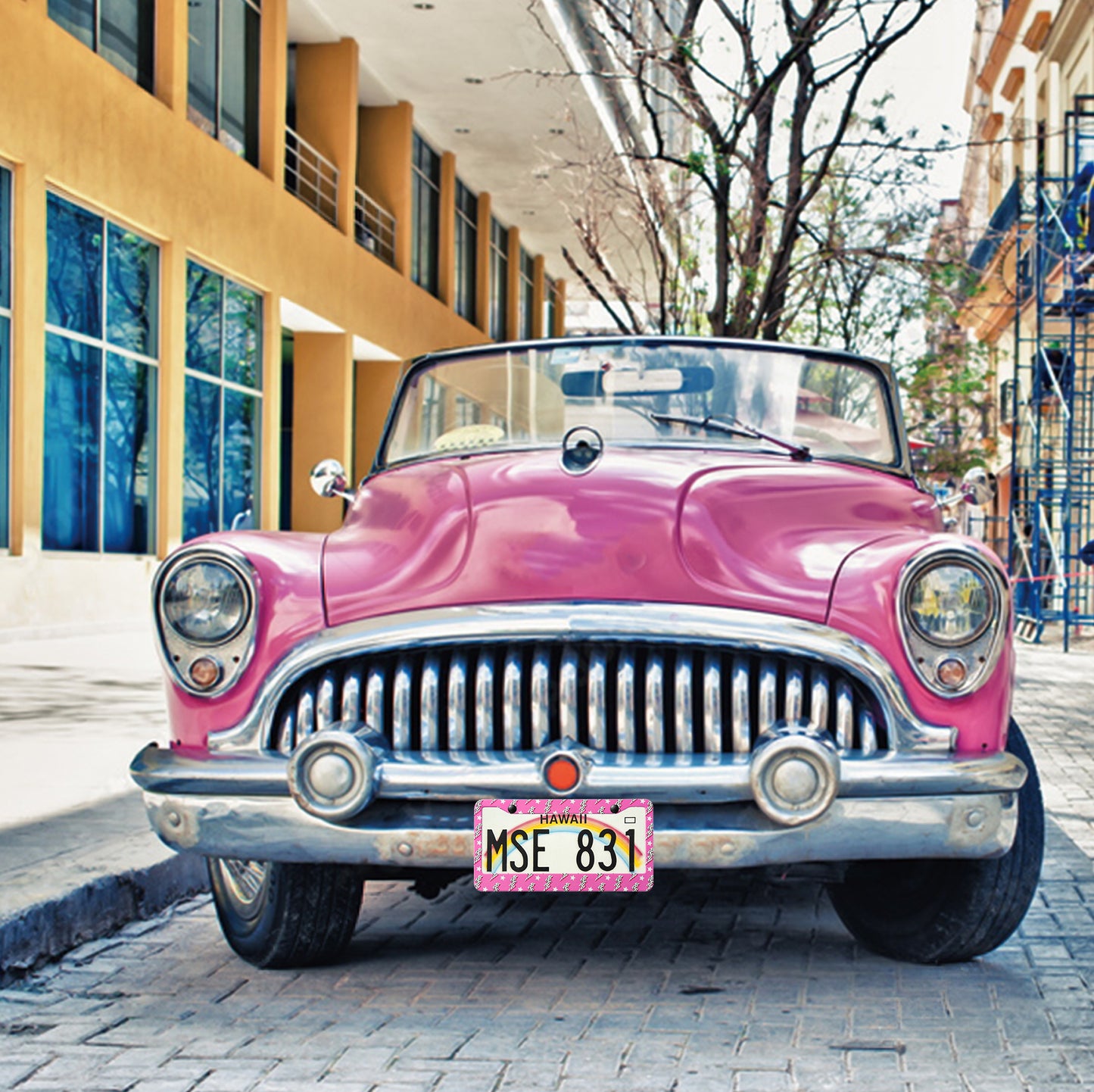 2 Preppy Car License Plate Frame, Pink License Plate Frame for women Cute New Car Gift with Handcrafted Stainless Steel License Plate Frame Car Accessories Decorative for Women or Friend Birthday Gift